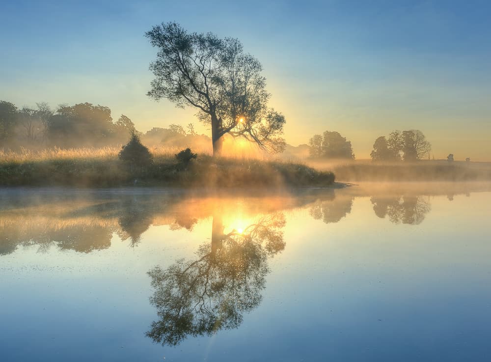 Golden Morning Mist by Keller — canvas wall art