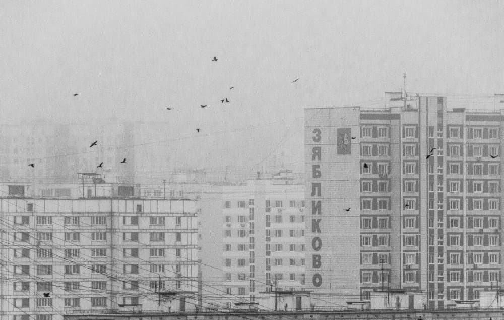Monochrome City Birds by Andrey Kotov — canvas wall art