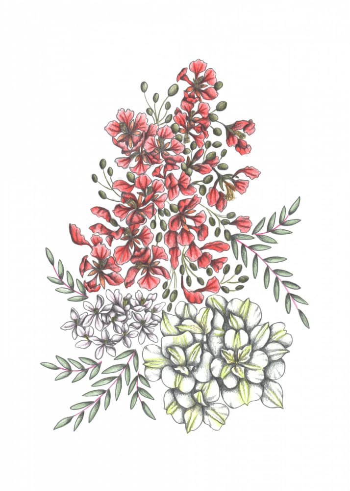Vibrant Botanical Blooms by Cecilia Battaini — canvas wall art