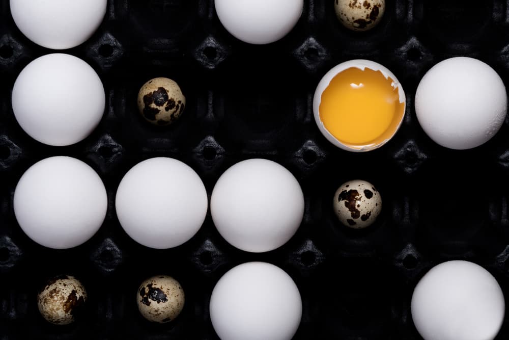 Cracked Yolk and Eggs by Saleh Swid — canvas wall art