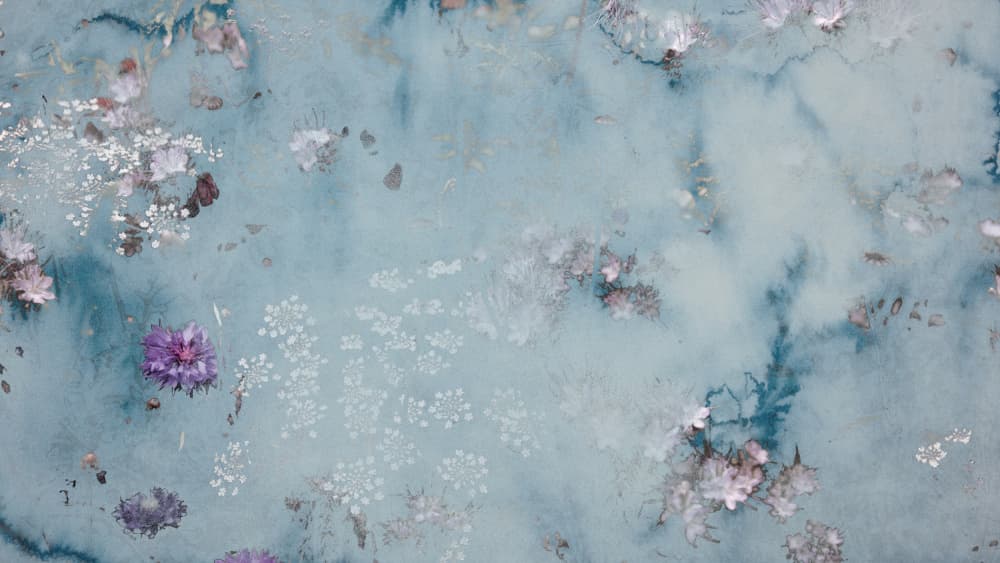 Blue Watercolor Blossoms by Miriam Stayte — canvas wall art