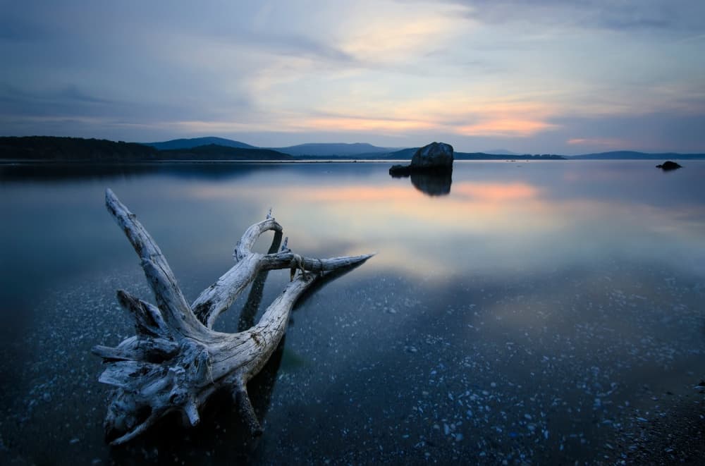 Driftwood Lake Reflection by Milen Dobrev — canvas wall art