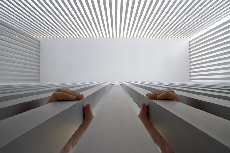 Grasping Upward Perspective by Filipe P Neto — canvas wall art