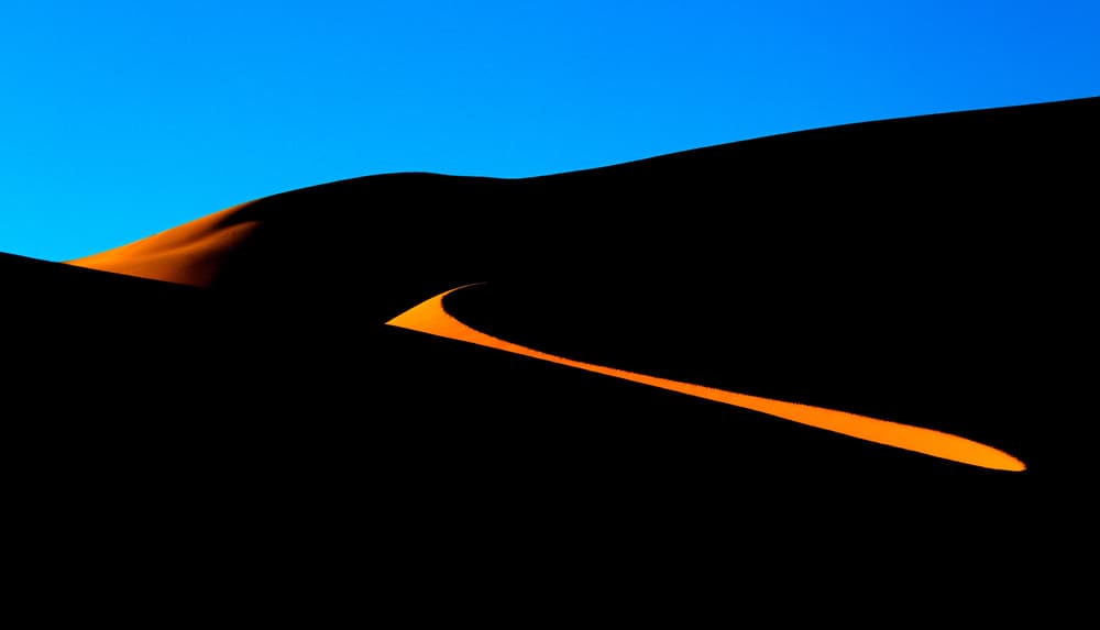 Golden Desert Curve by Louis Blair — canvas wall art