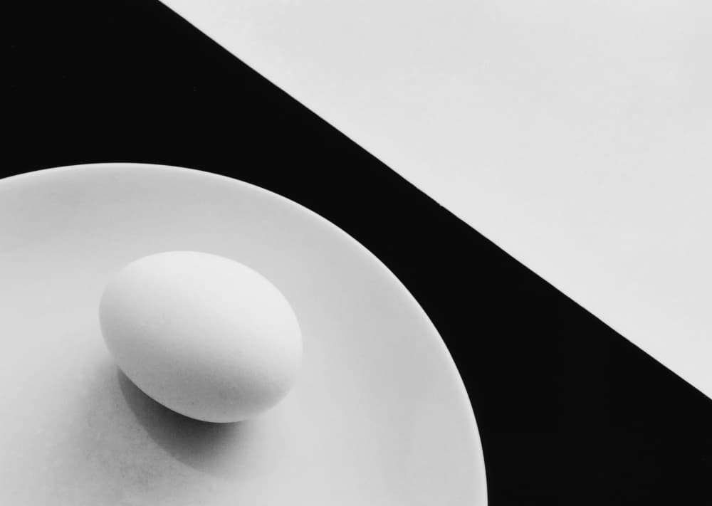 High Contrast Egg by Peter Hrabinsky — canvas wall art