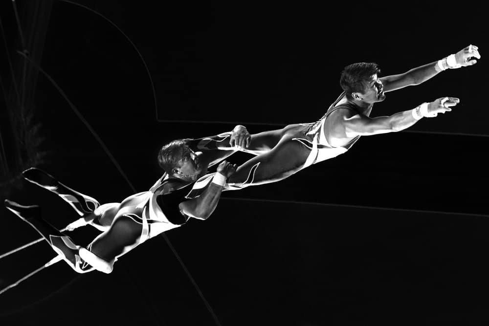 Synchronized Aerial Grace by Franz Baumann — canvas wall art