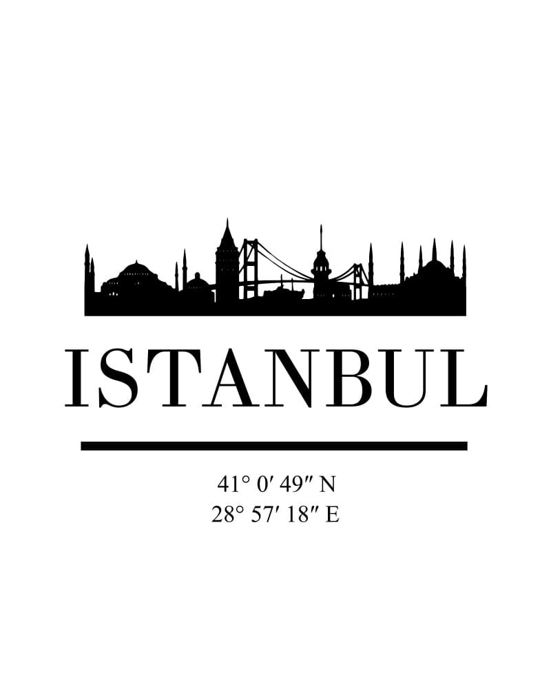 Istanbul City Skyline by Emiliano Deificus — canvas wall art