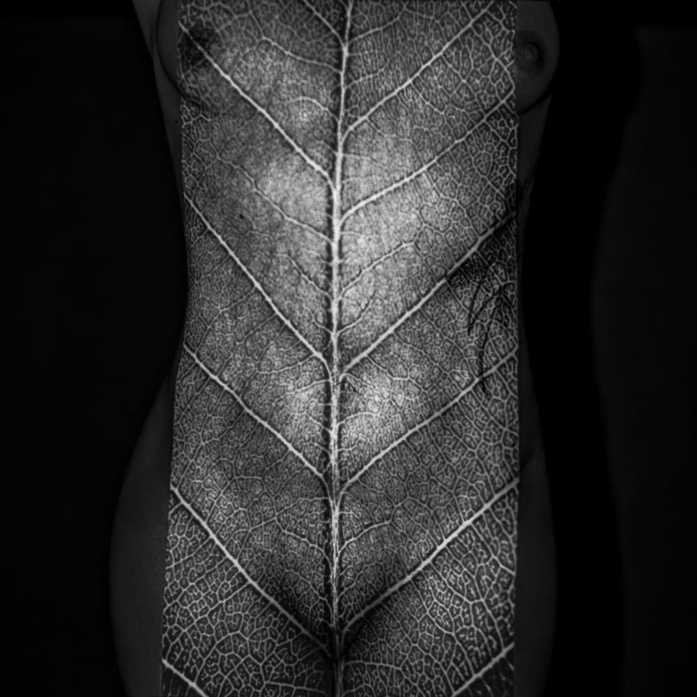 Textured Leaf Human by Markus Grimm — canvas wall art