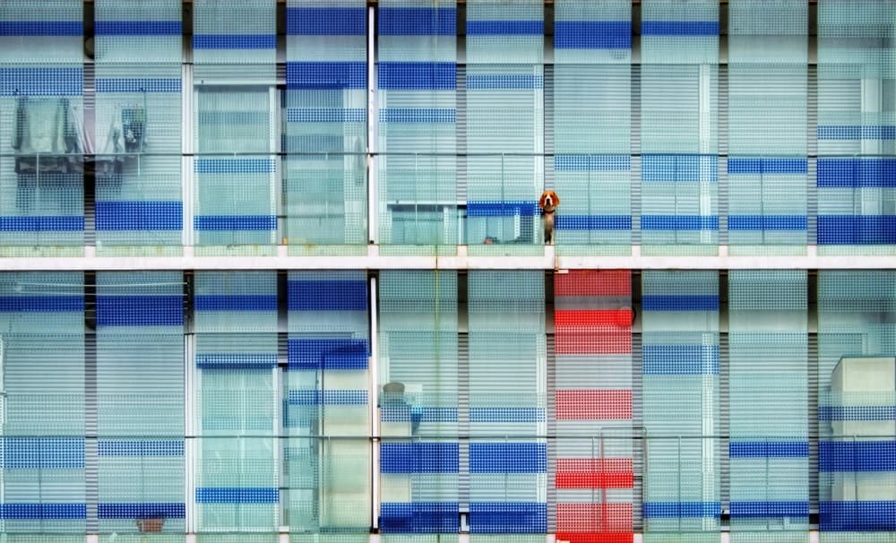 Blue Red Geometric Facade by Alfonso Novillo — canvas wall art
