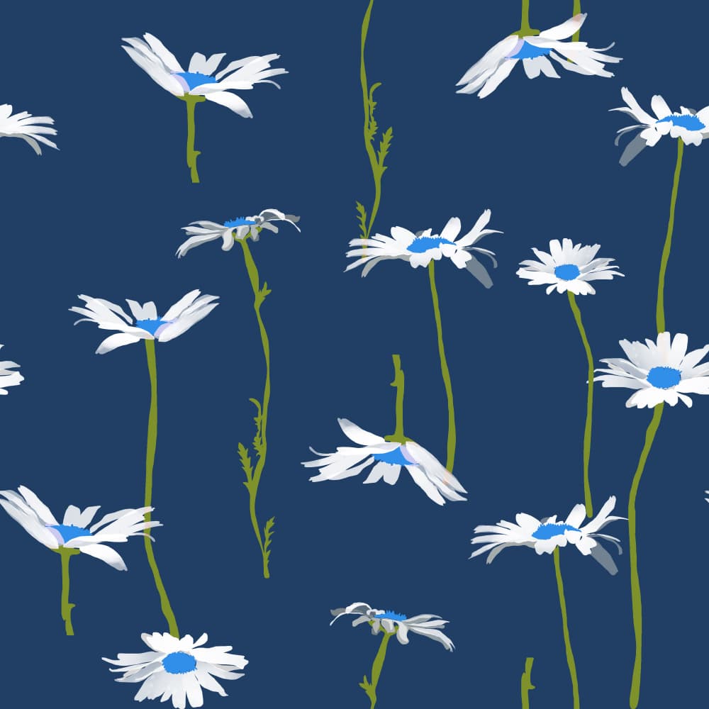 Scattered Blue Daisies by Charlotte Trudgett — canvas wall art
