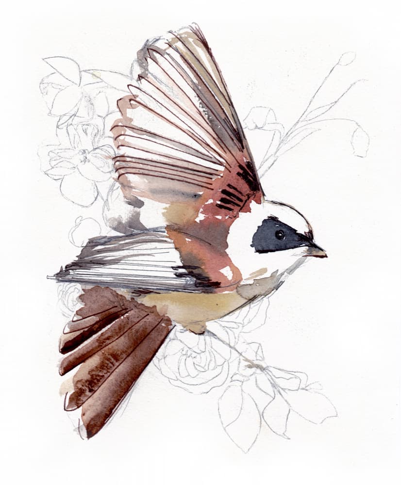 Flying Watercolor Bird by Christine Lindstrom — canvas wall art