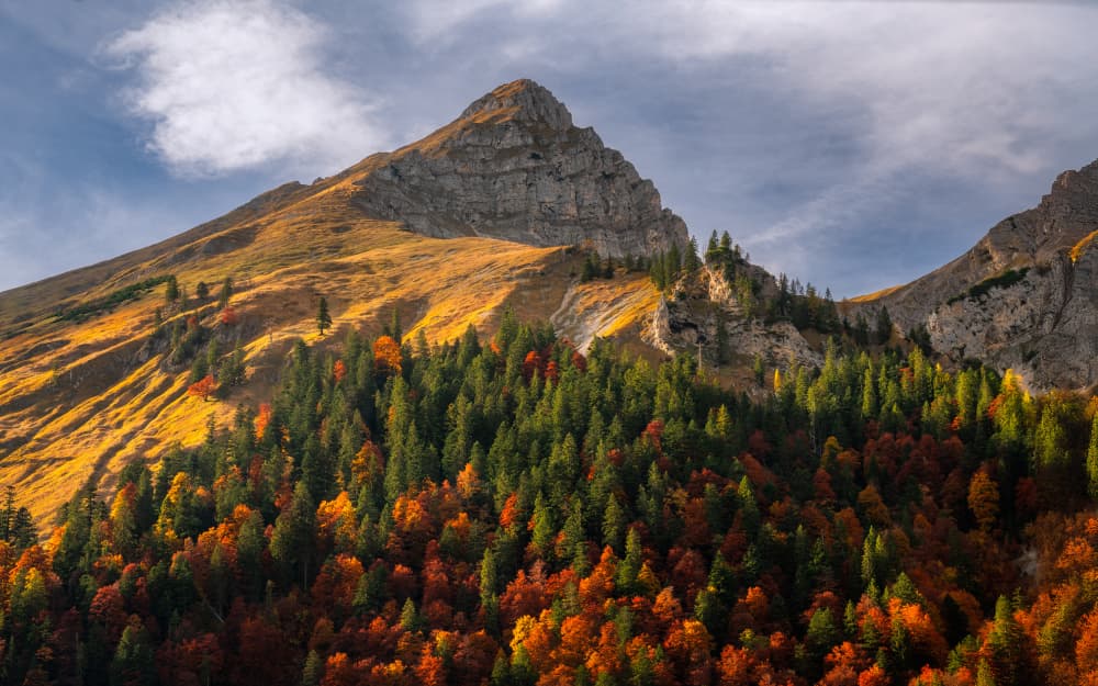 Vibrant Autumn Peak by Anastasios Gialopoulos — canvas wall art