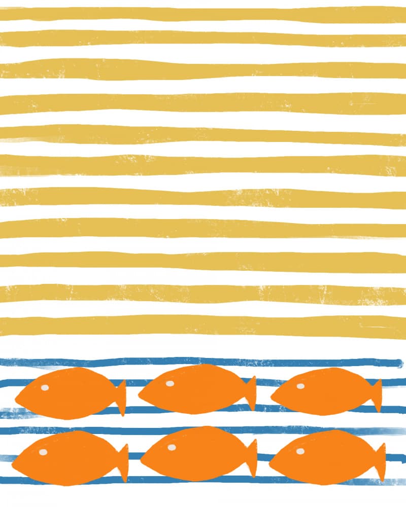 Coastal Striped Fish by Bronwyn Baker — canvas wall art