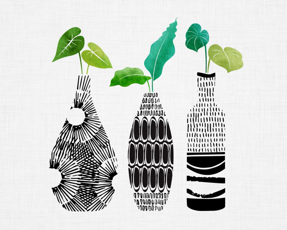 Tropical Greenery by Kristian Gallagher — canvas wall art