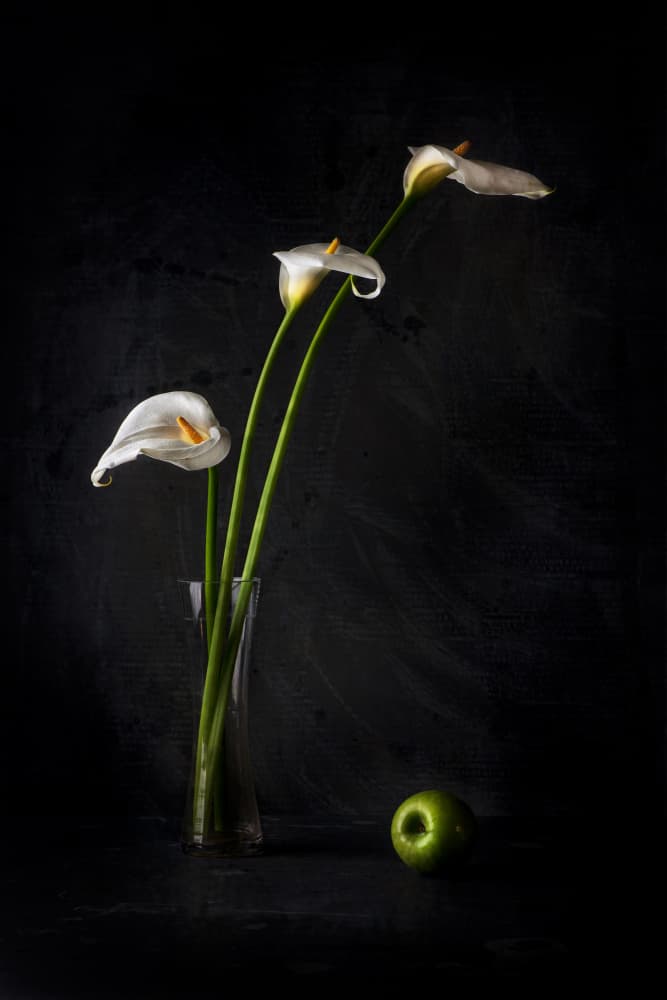 Calla Lilies And Apple by Felice Angelino — canvas wall art