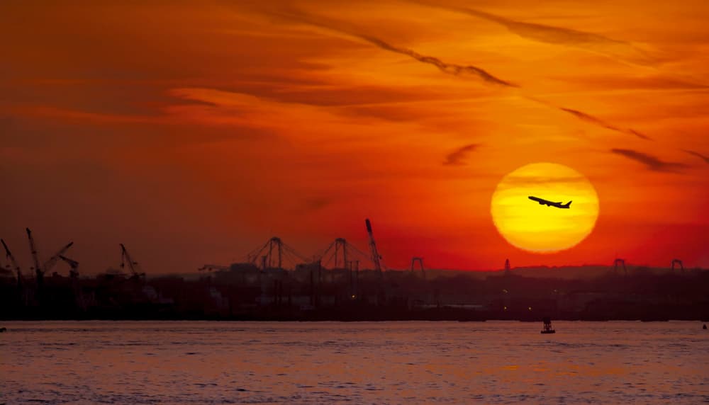 Golden Sunset Flight by Michael Castellano — canvas wall art