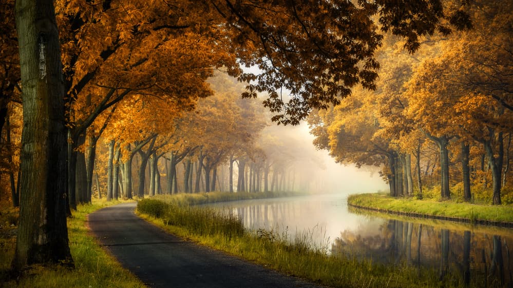 Misty Autumn Canal Path by Sus Bogaerts — canvas wall art