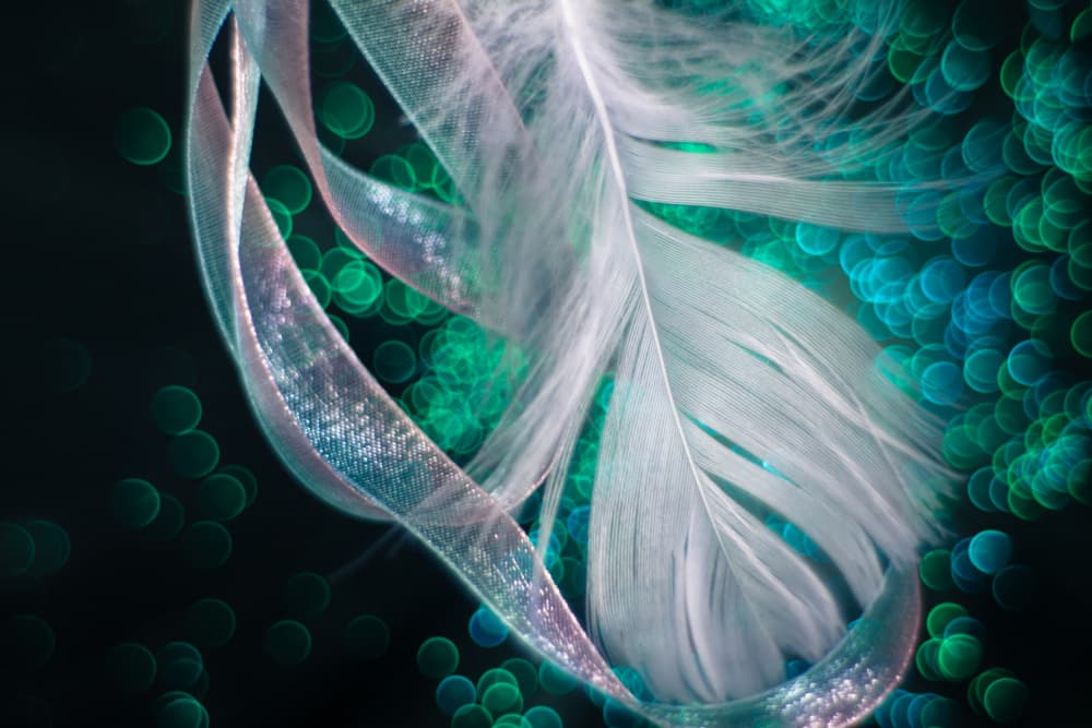 Dreamy Feather Glow by Shihya Kowatari — canvas wall art