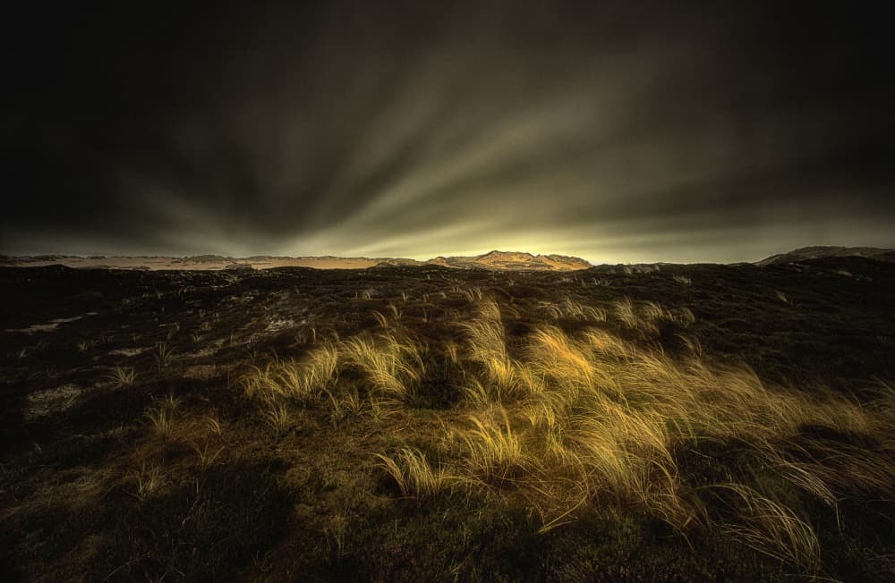 Golden Wind Swept Landscape by Corry DeLaan — canvas wall art