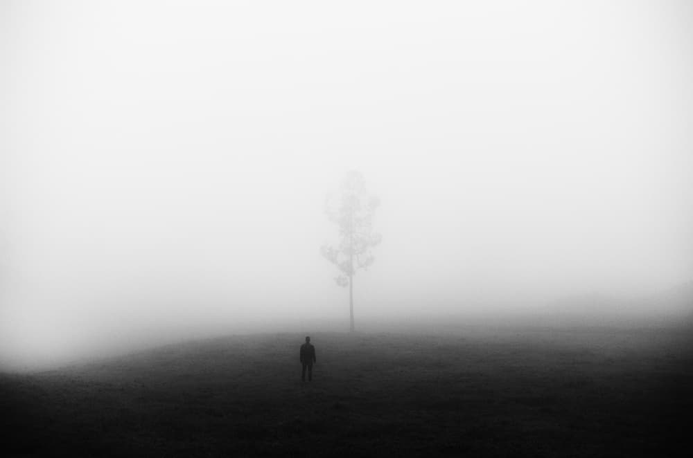 Monochrome Fog Solitude by Rui Caria — canvas wall art