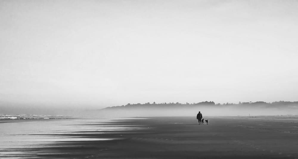 The Man and Dogs by Jenny Qiu — canvas wall art