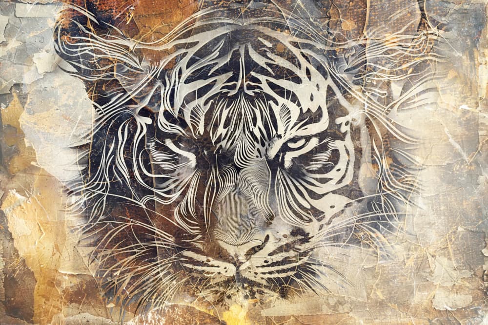 Powerful Tiger Gaze by Rafal Kulik — canvas wall art