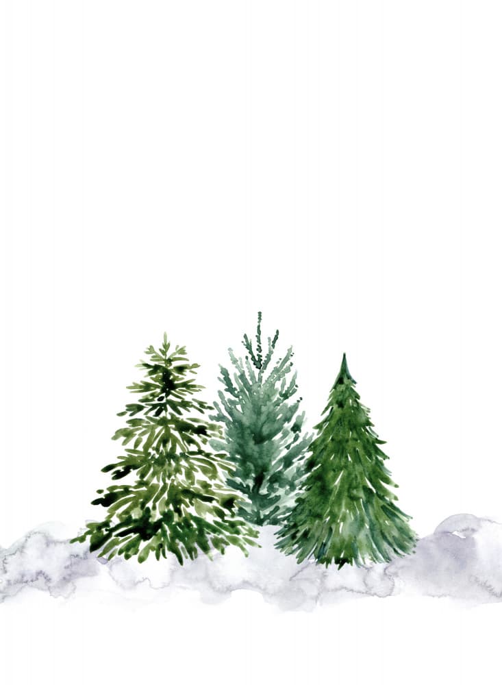 Three Winter Pines by Rosana Laiz Blursbyai — canvas wall art