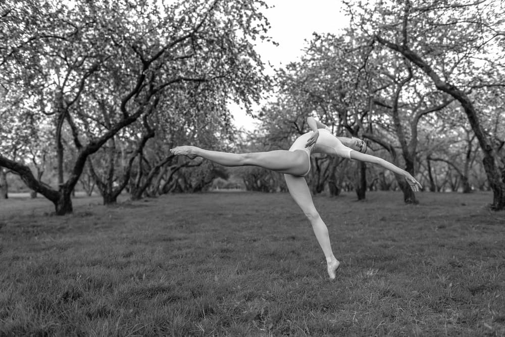 Dancer in Bloom by Alexander Yakovlev — canvas wall art