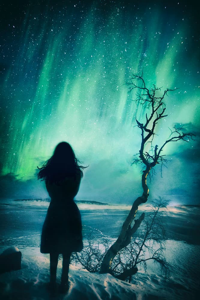 Northern Lights Solitude by Manu Allicot — canvas wall art