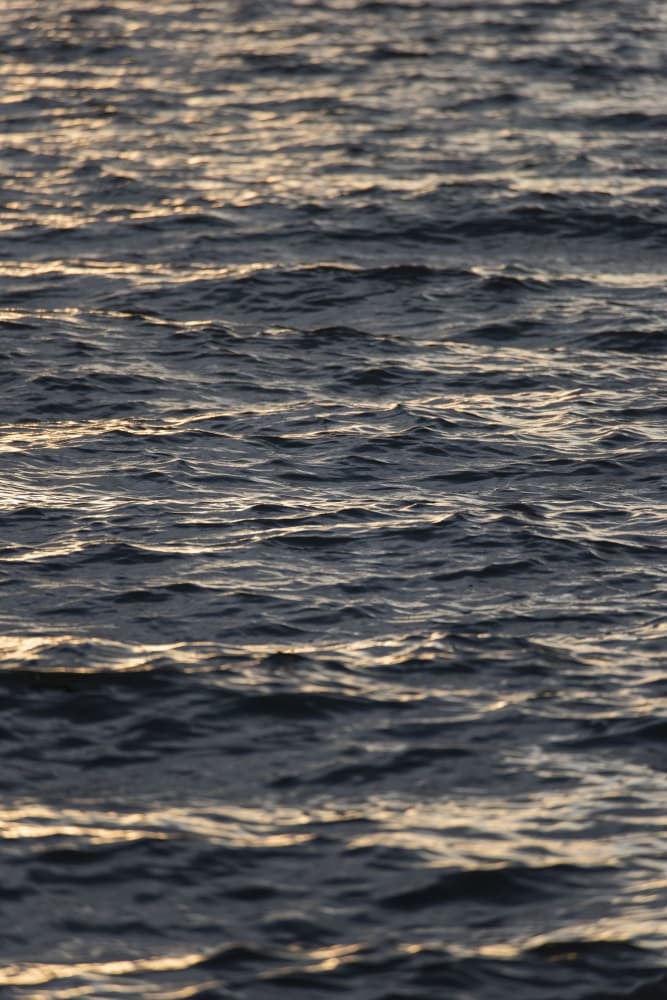 Golden Water Ripples by Lynann Colligan — canvas wall art
