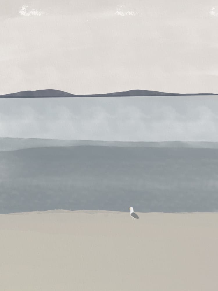 Seagull on Serene Beach by Little Dean — canvas wall art