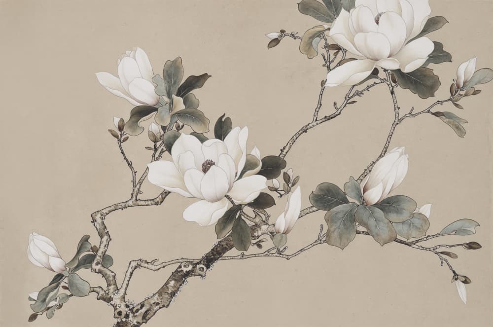 Chinoiserie Magnolia 005 by Andrea Haase — canvas wall art