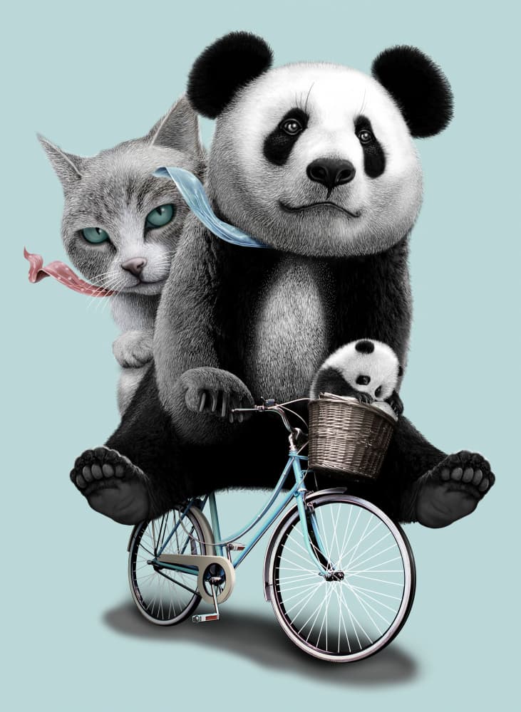 Panda Cat Bike Ride by Adam Lawless — canvas wall art