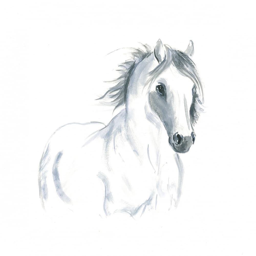 Horse in Movement Study by Isabelle Brent — canvas wall art