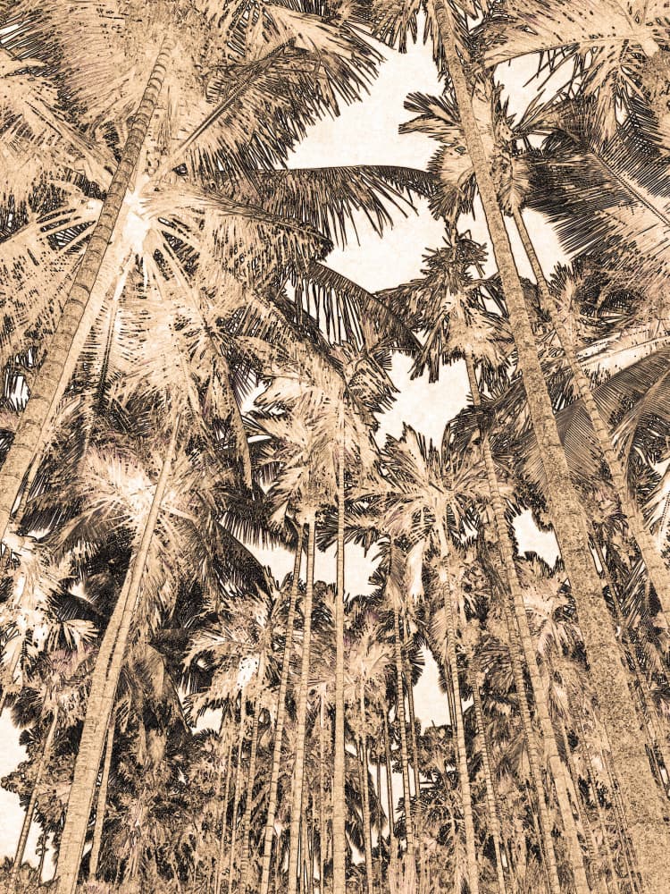 Vintage Palm Forest by Santhosh ch — canvas wall art