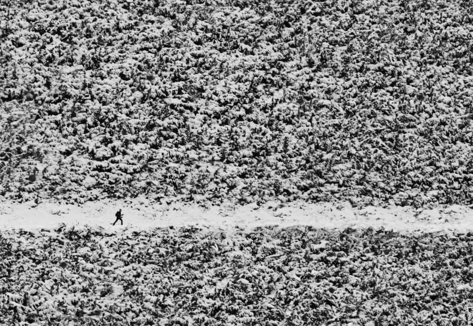 Lone Walker Snowscape by Peter Svoboda MQEP — canvas wall art