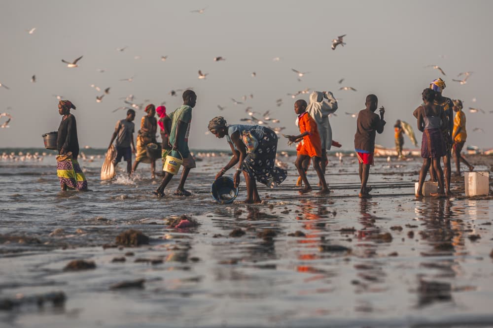 Shallow Water Gathering by Milton Louiz — canvas wall art