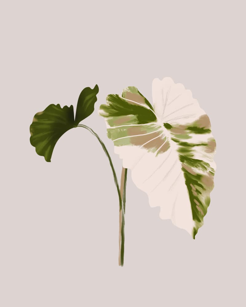 Filodentro Tropical Leaves by Anis Illustration — canvas wall art
