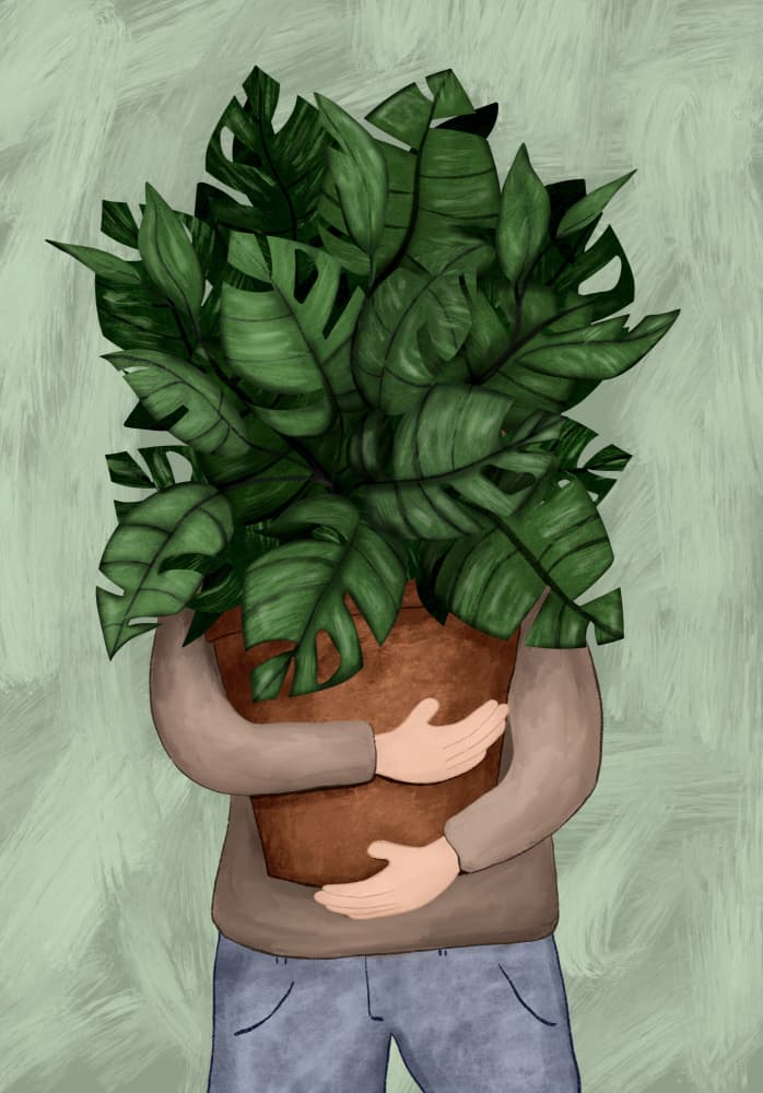 Monstera Plant Hug by EMELIEmaria — canvas wall art