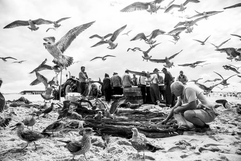 Fishermen and Seagulls Beach by Liesbeth van der Werf — canvas wall art