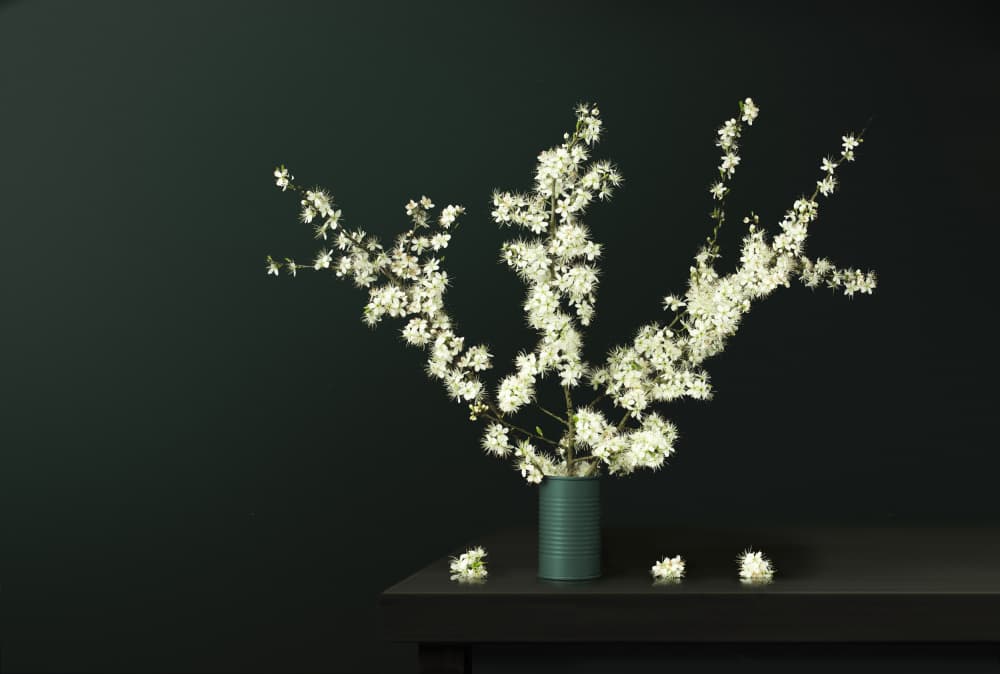 Fresh Spring Blossoms by Juan Antonio Palacios — canvas wall art