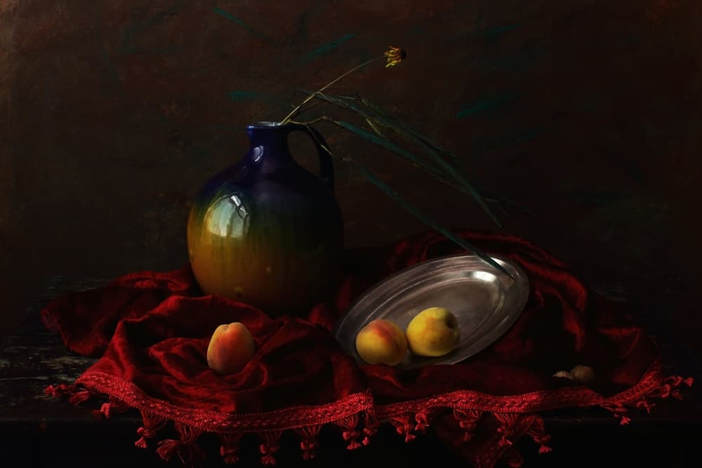 Dark Velvet Still Life by UstinaGreen — canvas wall art