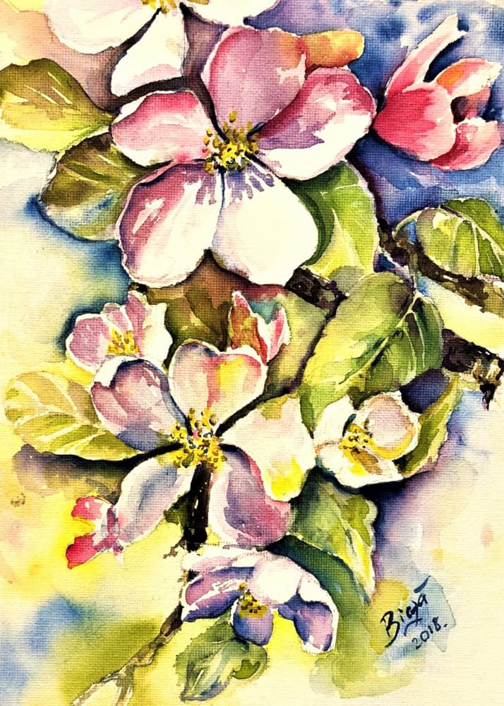 Spring Apple Blossoms by Anda Bieza — canvas wall art