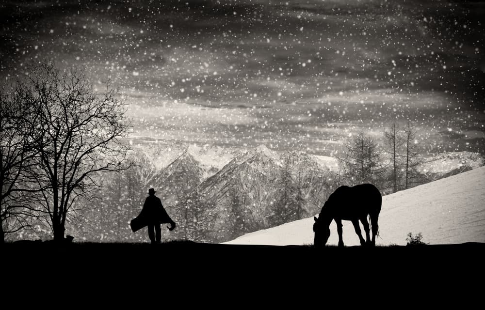 Snowy Mountain Solitude by Vito Guarino — canvas wall art