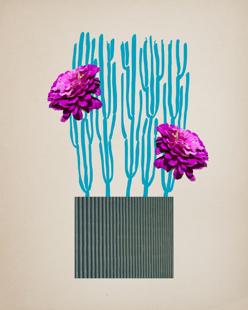 Pink Botanical Collage by Diana Jahns — canvas wall art