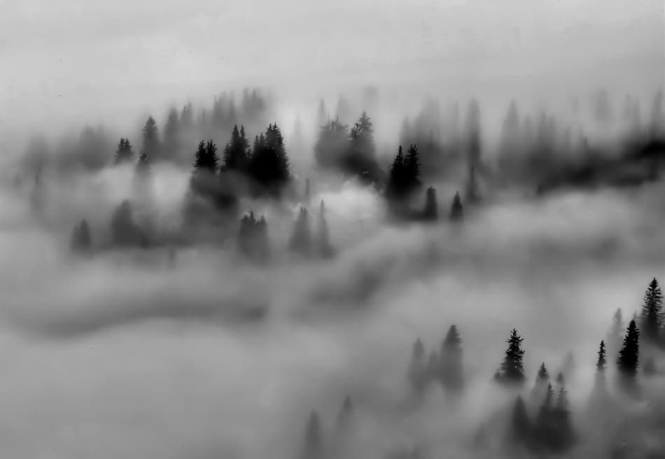 Misty Mountain Forest by Cristian Flueraru — canvas wall art