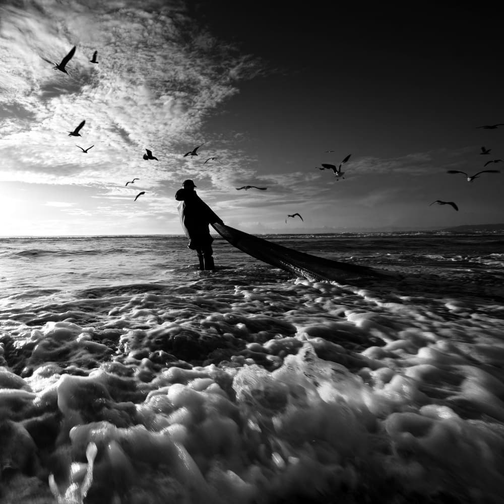 Dramatic Coastal Fishing by Josefina Melo — canvas wall art