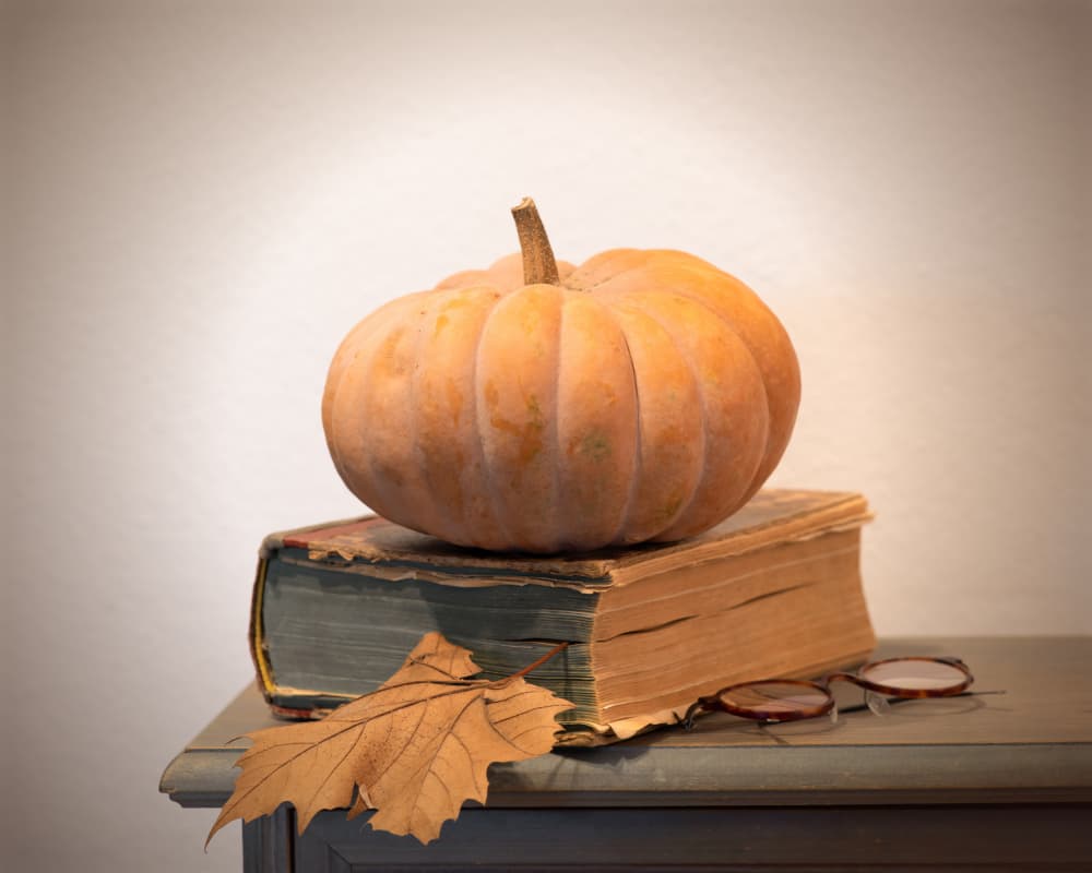 Cozy Autumn Reading by FranzStaab — canvas wall art