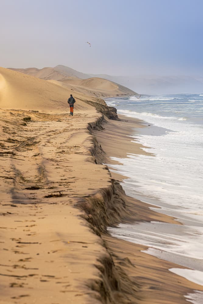 Solitary Coastal Walk by Marco Tagliarino — canvas wall art