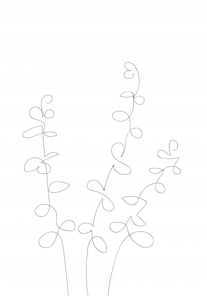 Delicate Botanical Lines by Pictufy Studio II — canvas wall art